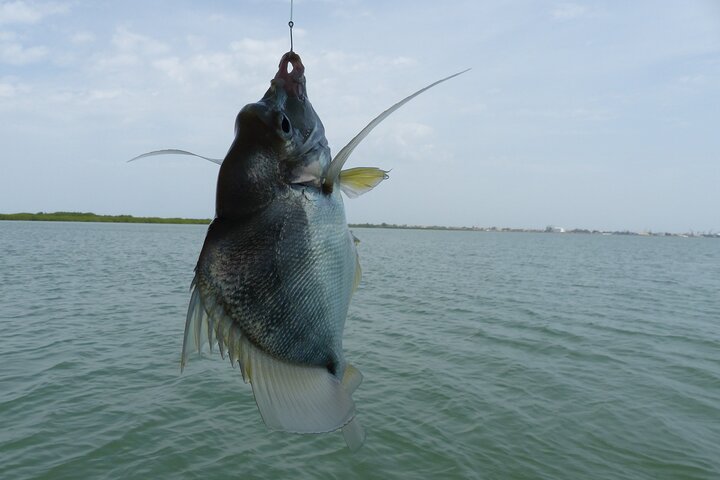 River cruise Fishing in the Gambia Lunch Included
