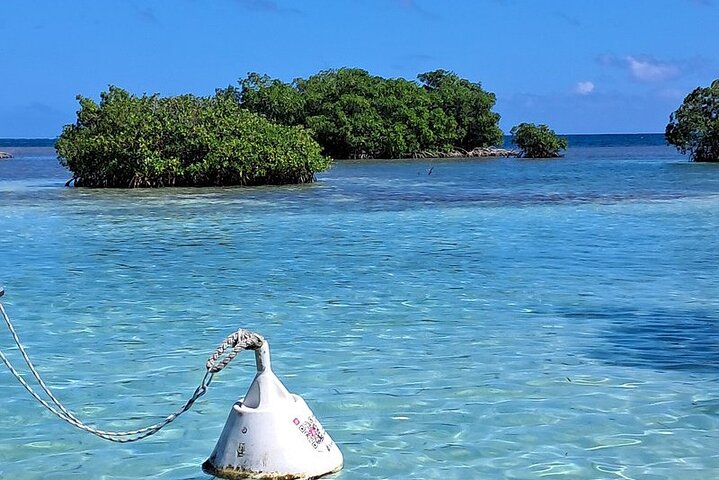 Boat Tour in 1/2 Day in the Great Ass of Sailing Bag
