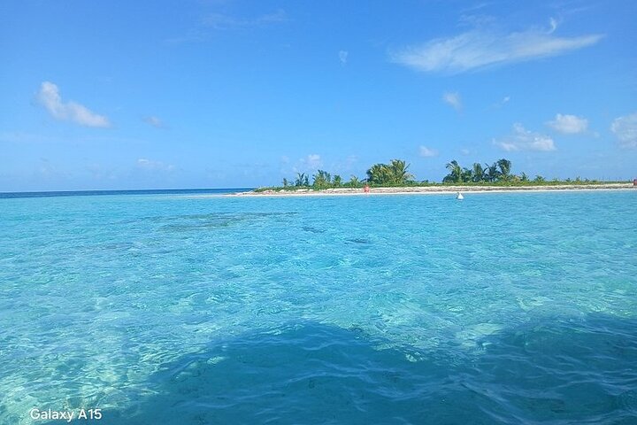 Boat Tour in 1/2 Day in the Great Ass of Sailing Bag