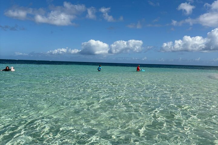 Boat Tour in 1/2 Day in the Great Ass of Sailing Bag