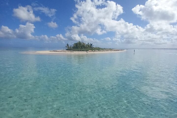 Boat Tour in 1/2 Day in the Great Ass of Sailing Bag