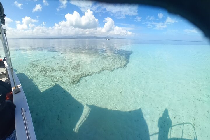 Boat Tour in 1/2 Day in the Great Ass of Sailing Bag