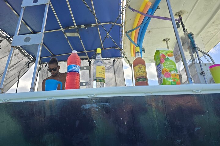 Boat Tour in 1/2 Day in the Great Ass of Sailing Bag