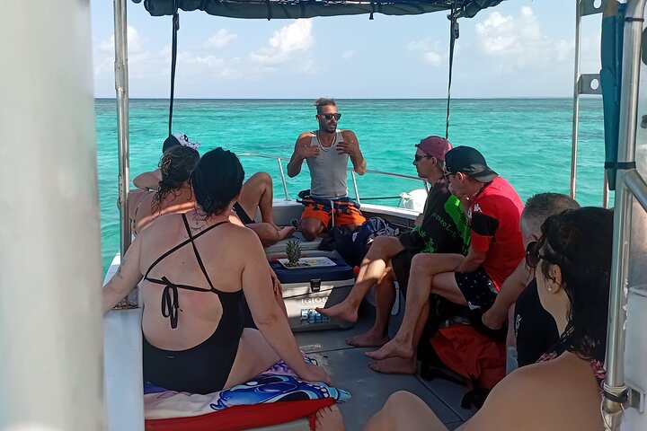 Boat Tour in 1/2 Day in the Great Ass of Sailing Bag