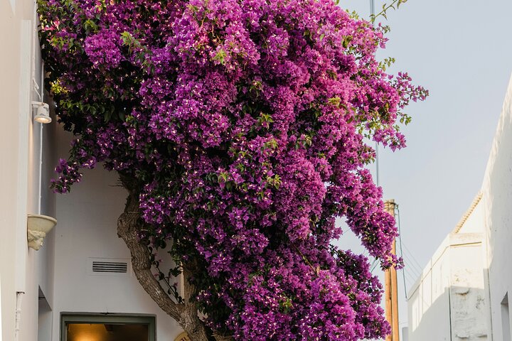 Highlights of Paros: A Private Tour with a Local