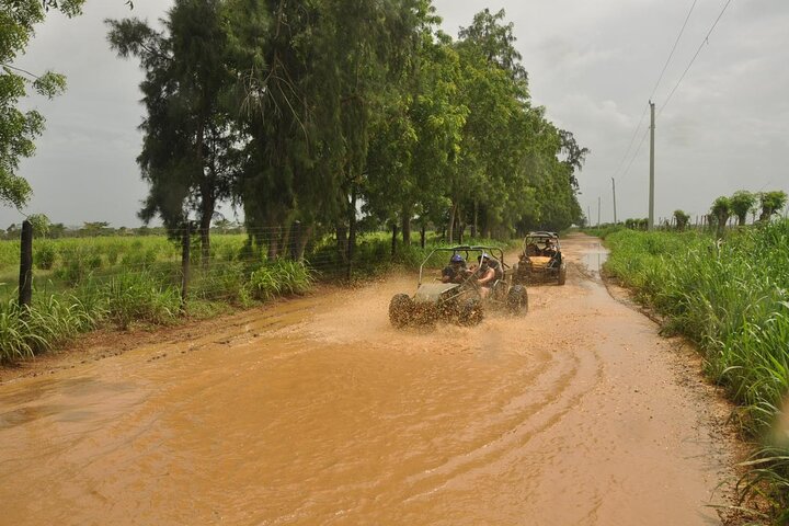 Bayahibe Jungle Buggy Expedition
