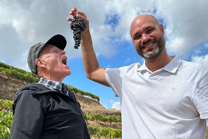 Douro Valley Small Group Premium Wine Tour Lunch and Private Boat