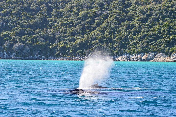 Don Juan Boat Trip in Arraial do Cabo