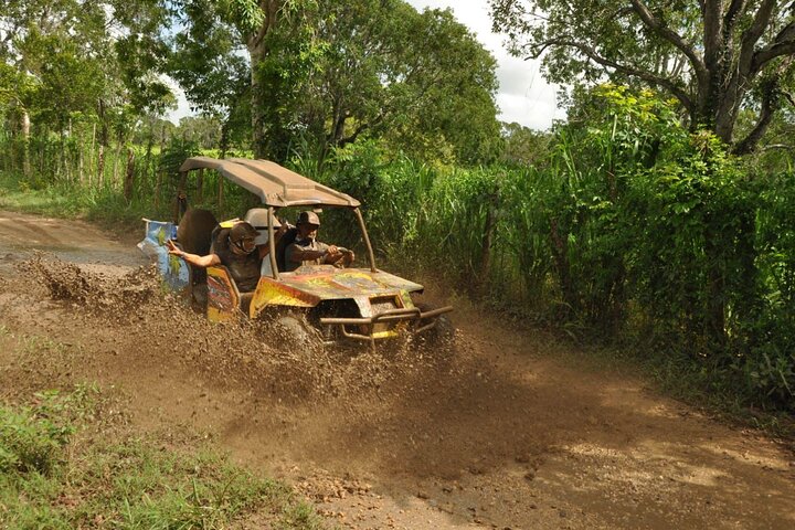 Bayahibe Jungle Buggy Expedition