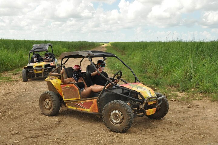Bayahibe Jungle Buggy Expedition