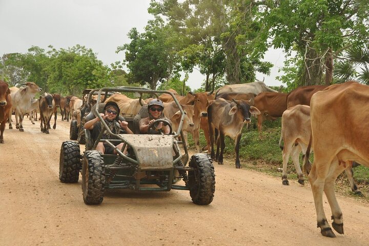 Bayahibe Jungle Buggy Expedition
