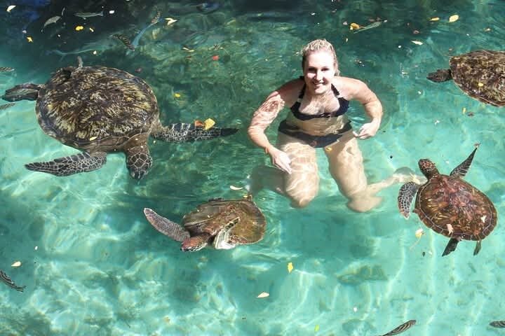 Swim, Smile and Sunset Mnemba Island and Turtle Experience
