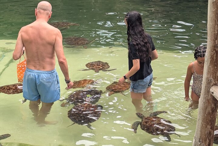 Swim, Smile and Sunset Mnemba Island and Turtle Experience