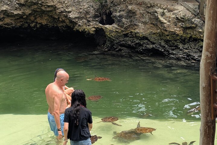 Swim, Smile and Sunset Mnemba Island and Turtle Experience