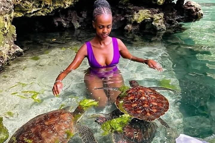 Swim, Smile and Sunset Mnemba Island and Turtle Experience