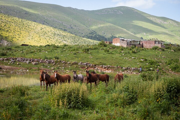 From Ijevan Off Road Expedition to Mt Vitasar