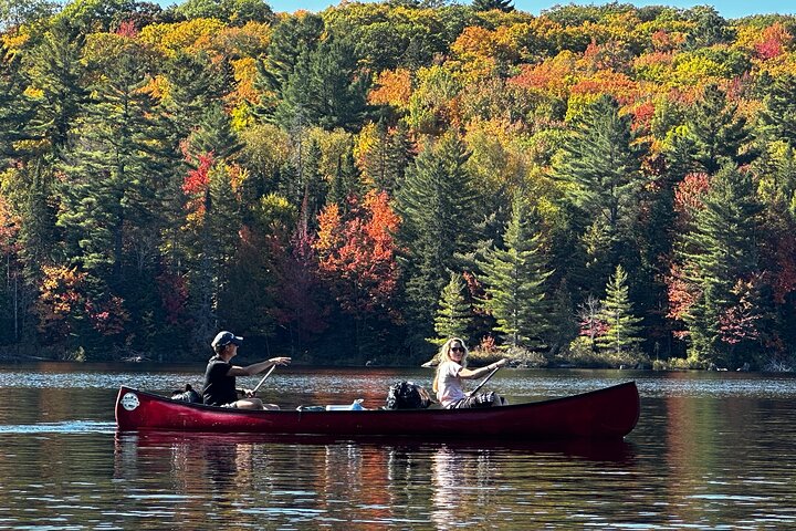 Algonquin Park 4-Day Deluxe Camping & Canoeing Adventure