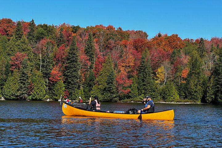 Algonquin Park 3-Day Deluxe Camping & Canoeing Adventure