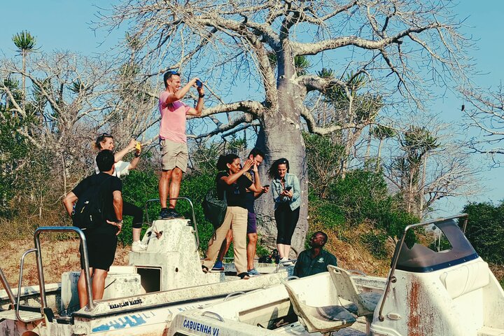 Kissama National Park Safari