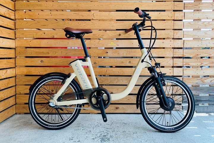 Lake Biwa Casual E Bike Rental
