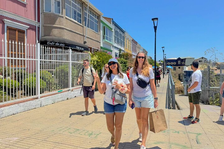 San Antonio Cruise Tour Valparaíso & Casablanca, Santiago Dropoff