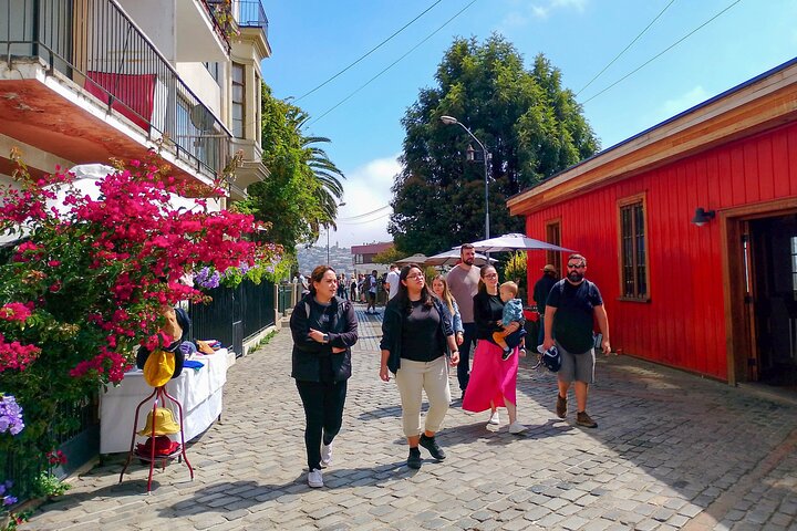 San Antonio Cruise Tour Valparaíso & Casablanca, Santiago Dropoff