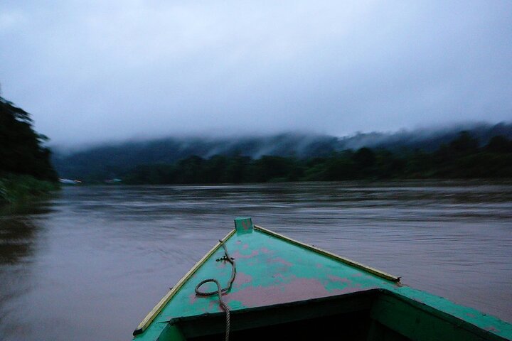 Sandakan: 2D1N Sukau Rainforest Wildlife Journey and Cruises