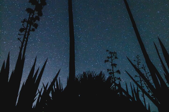 Stargazing Night in the Tabernas Desert
