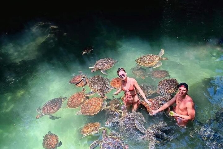 Swim, Smile and Sunset Mnemba Island and Turtle Experience