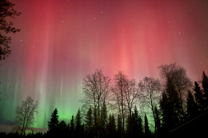 Private Northern Lights tour in Saariselkä