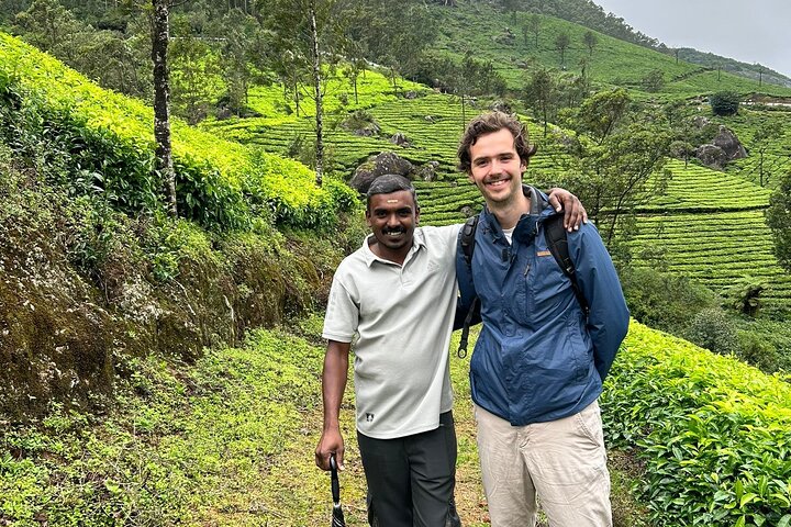 Tea planation walking In Munnar- (by Munnar Info)