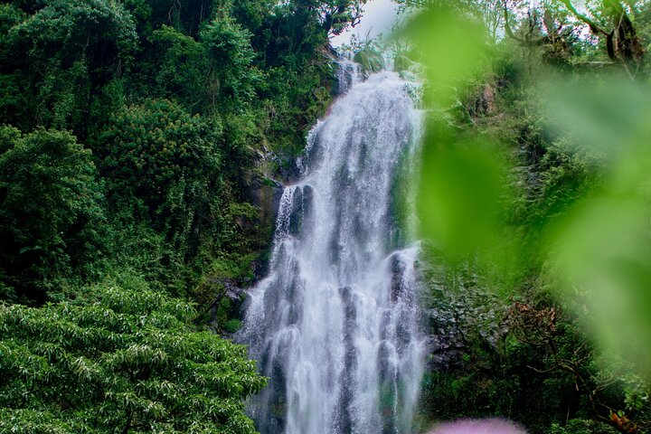 Materuni Waterfalls and Chemka Hot Springs from Arusha and Moshi