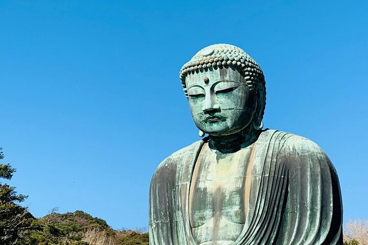 Kamakura Private Custom Tour: Great Buddha, Temples & Coast
