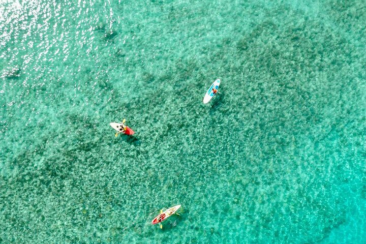 Captain Cook Cruises Fiji- All-inclusive Island & Reef Day Sail