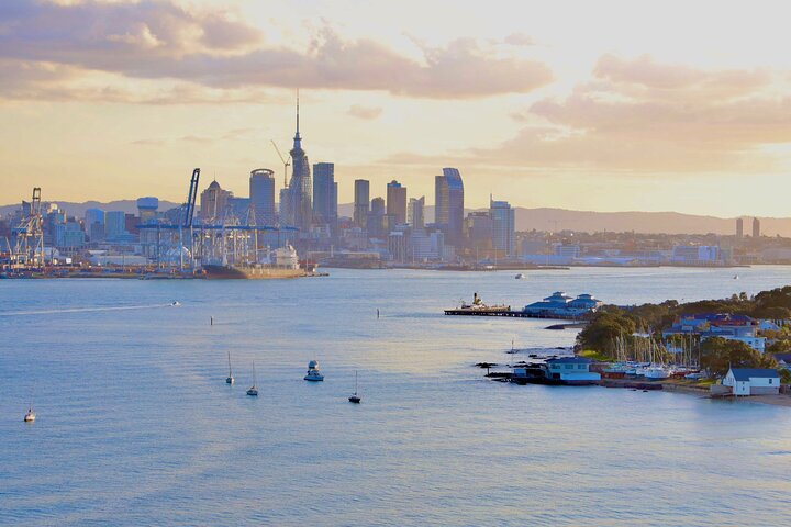 2025 Award Winning: Auckland City Highlights Half Day Tour
