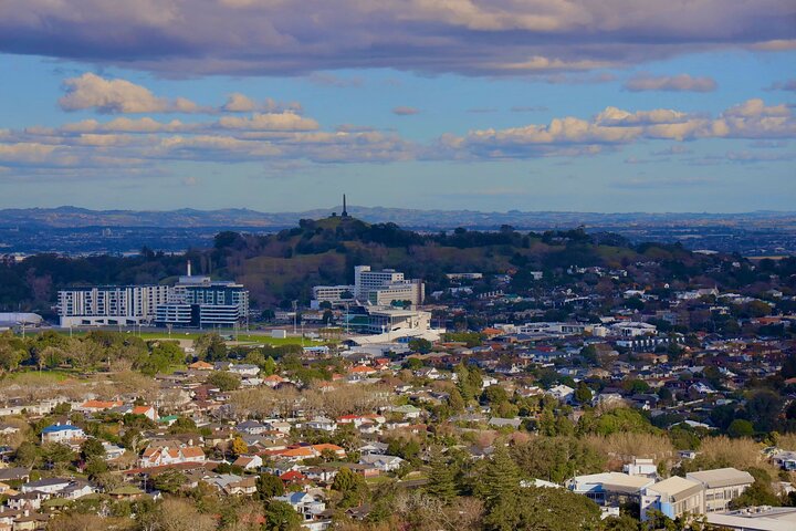2025 Award Winning: Auckland City Highlights Half Day Tour