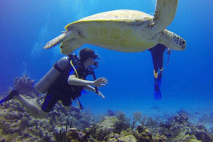 Luxury Yacht: Ras Mohammed & White Island, Lunch & Snorkel