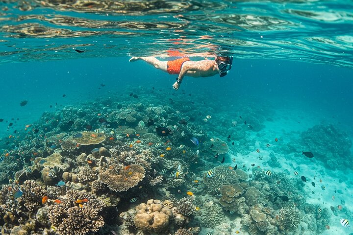 Zanzibar Full Day Private Tour with Sunset Beach & Seafood BBQ