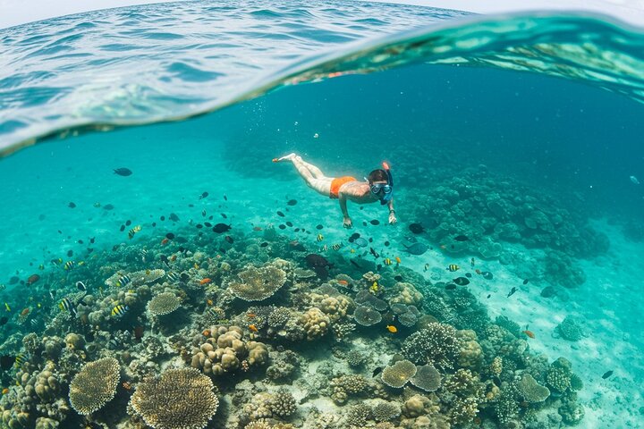 Zanzibar Full Day Private Tour with Sunset Beach & Seafood BBQ