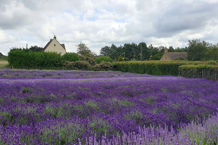 Private Full Day Cotswolds Tour from London Historic Towns