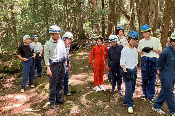 Exploring Mt Fuji Ice Cave and Sea of Trees Forest