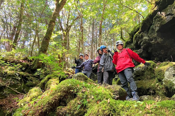 Exploring Mt Fuji Ice Cave and Sea of Trees Forest