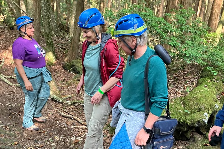Exploring Mt Fuji Ice Cave and Sea of Trees Forest