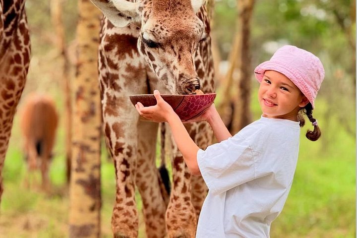 1 Day Trip to Serval Wildlife Sanctuary and Maasai village tour