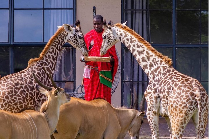 1 Day Trip to Serval Wildlife Sanctuary and Maasai village tour