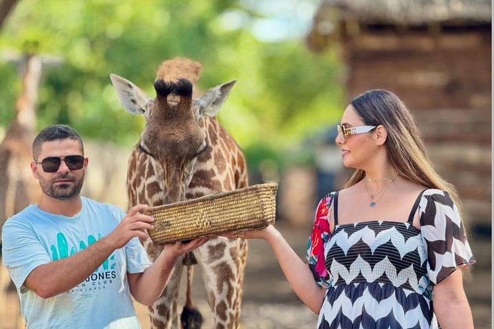 1 Day Trip to Serval Wildlife Sanctuary and Maasai village tour