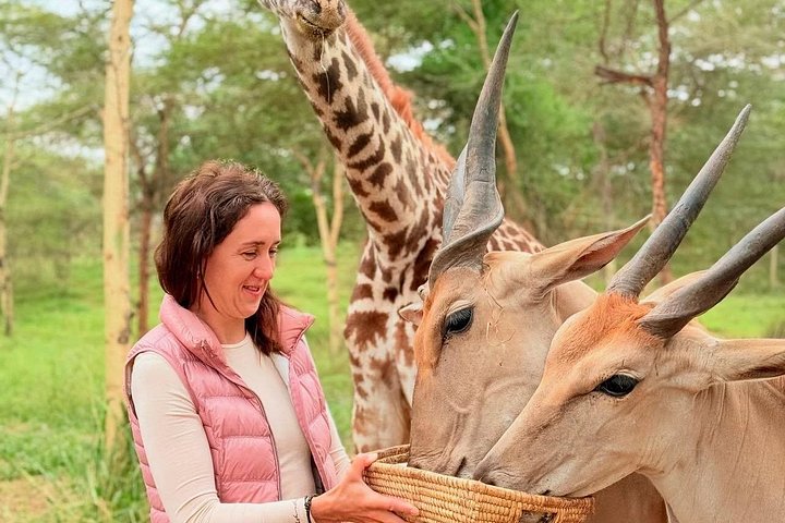1 Day Trip to Serval Wildlife Sanctuary and Maasai village tour