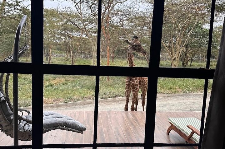 1 Day Trip to Serval Wildlife Sanctuary and Maasai village tour