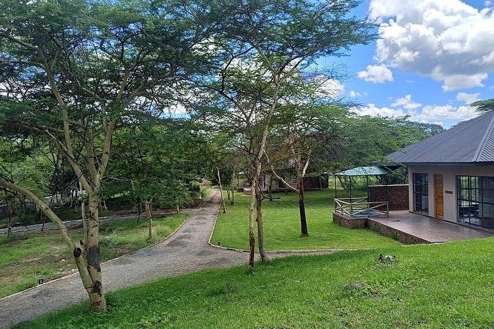 1 Day Trip to Serval Wildlife Sanctuary and Maasai village tour