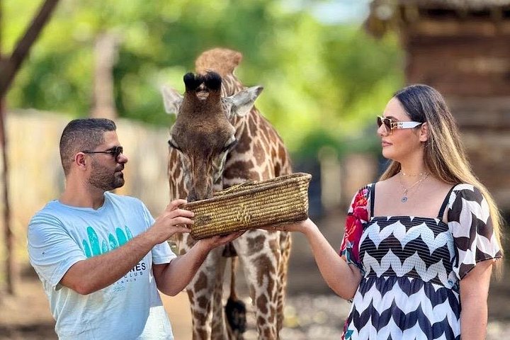 1 Day Trip to Serval Wildlife Sanctuary and Maasai village tour